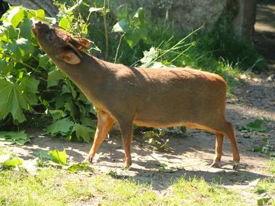 Bergzoo Halle