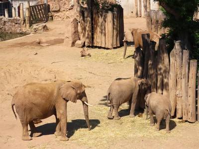 Bergzoo Halle