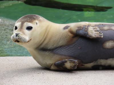 Zoo Augsburg