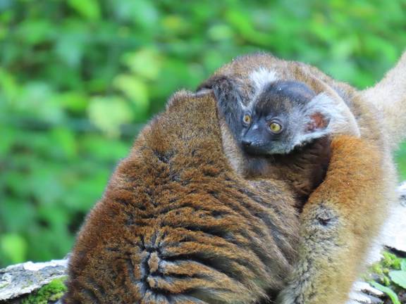 Zoo Augsburg